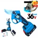 FOARFECE DE CRENGI FĂRĂ FIR 36V 8,0AH 33MM PENTRU CRENGI