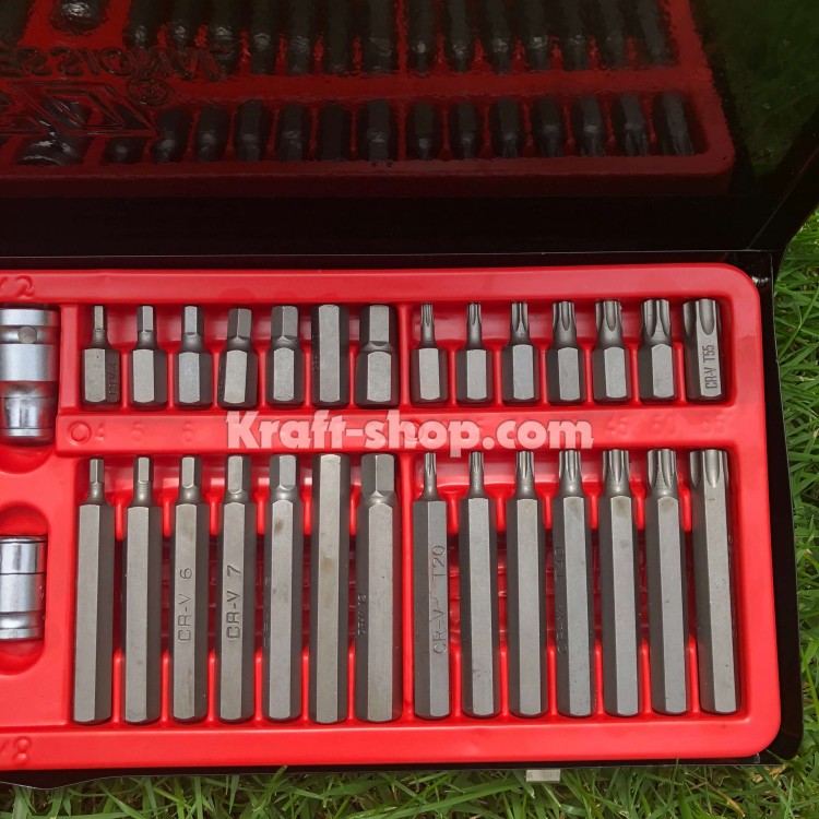 BIȚI RICO PENTRU GEDORE SET DE 54 DE PIESE